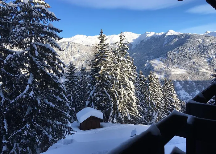 Superbe Vue, Acces Skis Aux Pieds, Tres Agreable